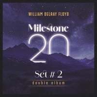 Milestone 20 - Set 2